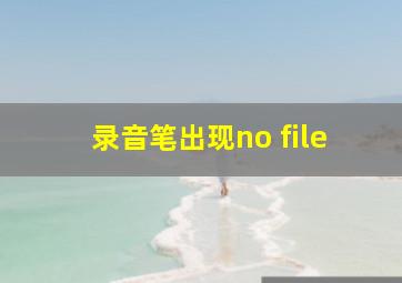 录音笔出现no file